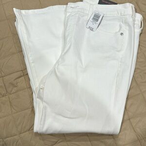 Torrid Crop High-Rise Flare Jeans